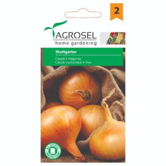 Seminţe de ceapă Stuttgarter