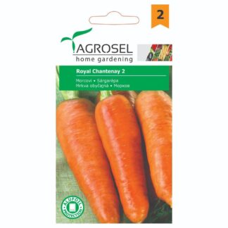 Seminţe de morcov Royal Chantenay 2