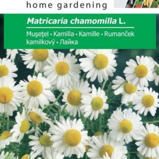 Seminţe de muşeţel