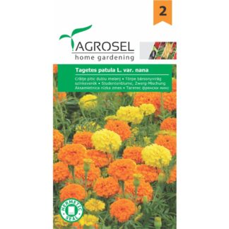 Seminţe de Crăițe pitice