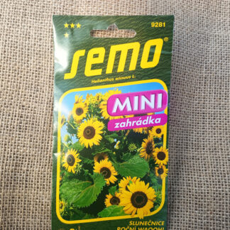 seminte floarea soarelui