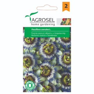 Semințe de Floarea Pasiunii