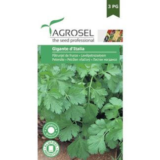 Seminţe de pătrunjel Gigante d'Italia