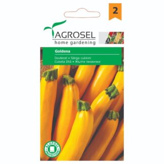 Seminţe de dovlecel Goldena
