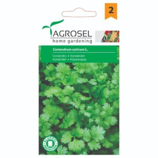 Seminţe de coriandru