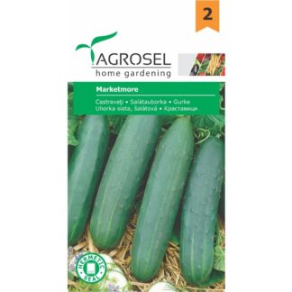 Seminţe de castraveți Marketmore